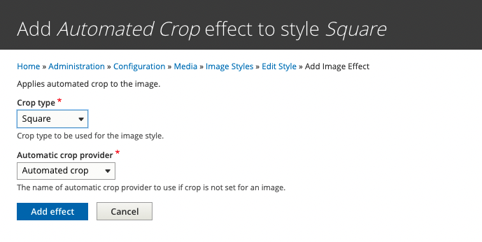 Screenshot of Add Automated Crop effect to style Square. Crop type is Square and Automatic crop provider is Automated crop